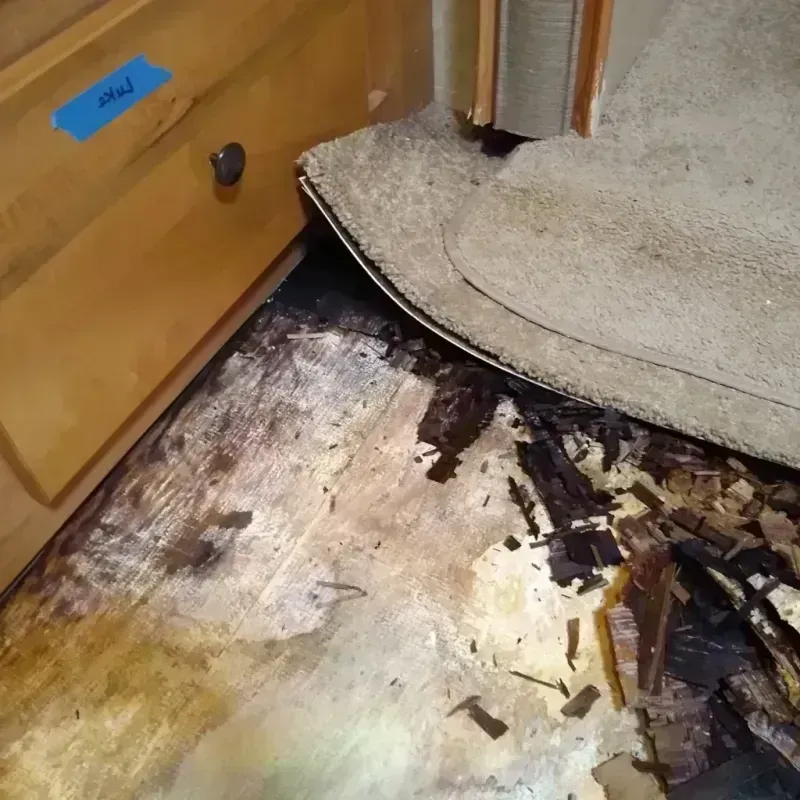 Wood Floor Water Damage in Pendleton, OR